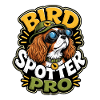 Kavallerier King Charles Spaniel
