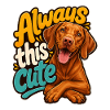 Ungarischer Pointer