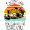 Lustige Ragdoll Katze