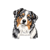 Australian Shepherd – Stress mich nicht | Aussie