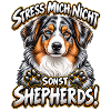 Australian Shepherd 
