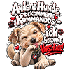 Hundekommandos – Vorschläge