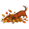 Dackel im Herbstlaub