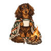 Dackel am Lagerfeuer