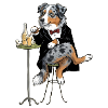Sir Fussel "Australian Shepherd"