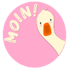 Gans Moin
