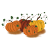 Herbstliche Kürbisranken Muster
