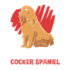 Cocker Spaniel