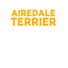 Airedale Terrier