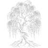 Silhouette des Weinweidenbaums