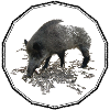 Wildschwein