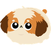 Chibi Flauschiges Shih Tzu-Welpengesicht