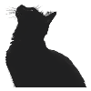 Nachtkatzen Silhouette