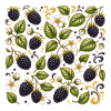 Brombeeren Muster Beeren Wald Botanisch Früchte