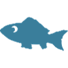 Fisch