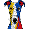 Greyhound