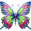 Schmetterling