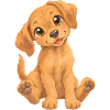 Rhodesian Ridgeback – süßer Hundewelpe