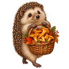 Igel beim Pilzsammeln