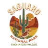 Retro-Saguaro-Sonora-Wüste