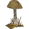 Pilz