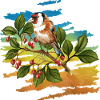 Bunter Vogel