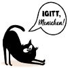 Igitt Menschen Katzen