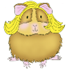 Meerschweinchen Blond Glamour
