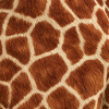 Giraffenmotiv mit geflecktem Fell
