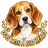 Beagle voller Liebe