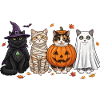 Halloween Kitty Quartett