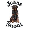 Rottweiler im Jeansflicken-Stil