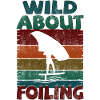 Wild about Foiling - retro sunset