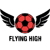 Fussball Fliegende Fluegel Logo