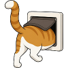 Freche Katze erkundet einen Briefkasten