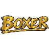 Boxer Gold Brush Logo