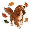 Hund mit Herbstlaub beim Spaziergang