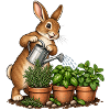 Hase gießt einen Kräutergarten