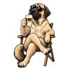 Kangal mit Latte Macchiato