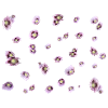lila Mohn