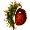 Kastanie