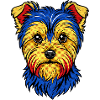 Yorkie