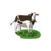 Secondhand Vegetarier Kuh
