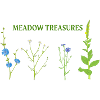 Wiese schätzt Blumen