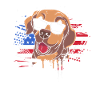 Chesapeake Bay Retriever