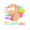 Chesapeake Bay Retriever