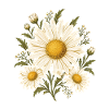 Gänseblümchen Blumenkreis