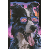 Retro Stil Hund mit Sonnenbrille