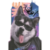 König Hund Neon Streetwear