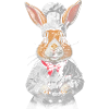 Chef Rabbit